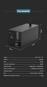 آمپلیفایر smsl مدل SA300